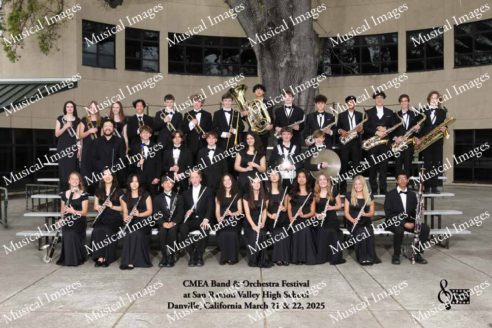 Musical Images